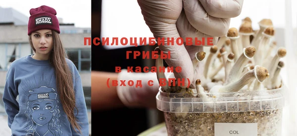 гашик Чита