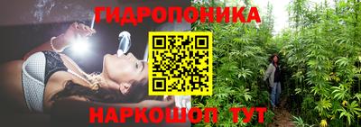 стаф Балахна