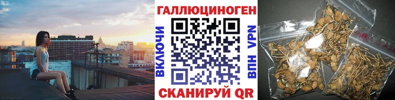 Псилоцибиновые грибы прущие грибы Каменск-Уральский
