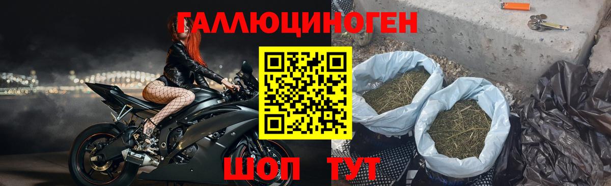 купить наркотик  Каменск-Уральский  Псилоцибиновые грибы мицелий 